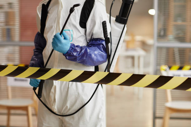 Professional Sewage Cleanup technician working in Citra, FL